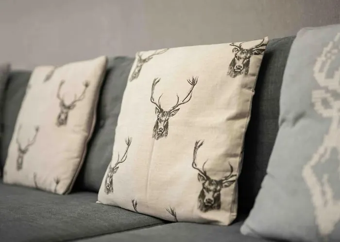 דירה & Bike שצ'צ'ירק