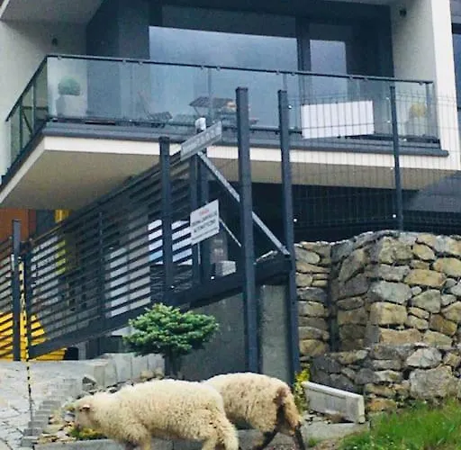 & Bike דירה שצ'צ'ירק